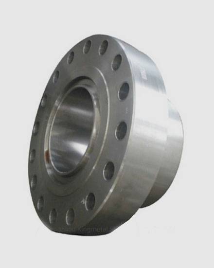 SS API 6A Flanges